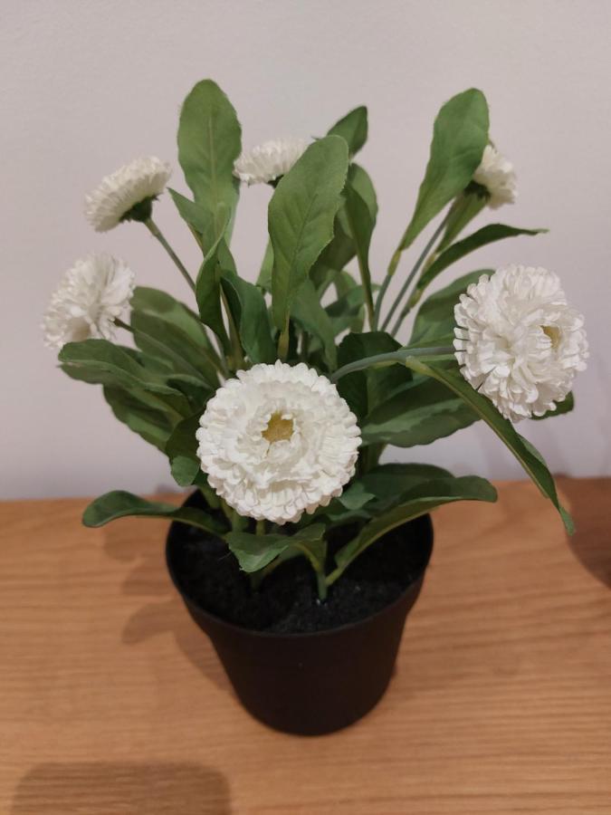 Cosy North Kensington Family Apartment For 4 Persons - Children Stay Free Londres Quarto foto